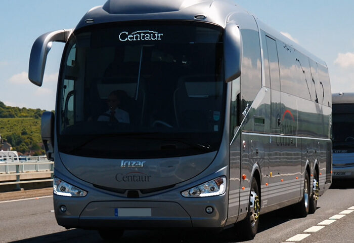 Executive coaches